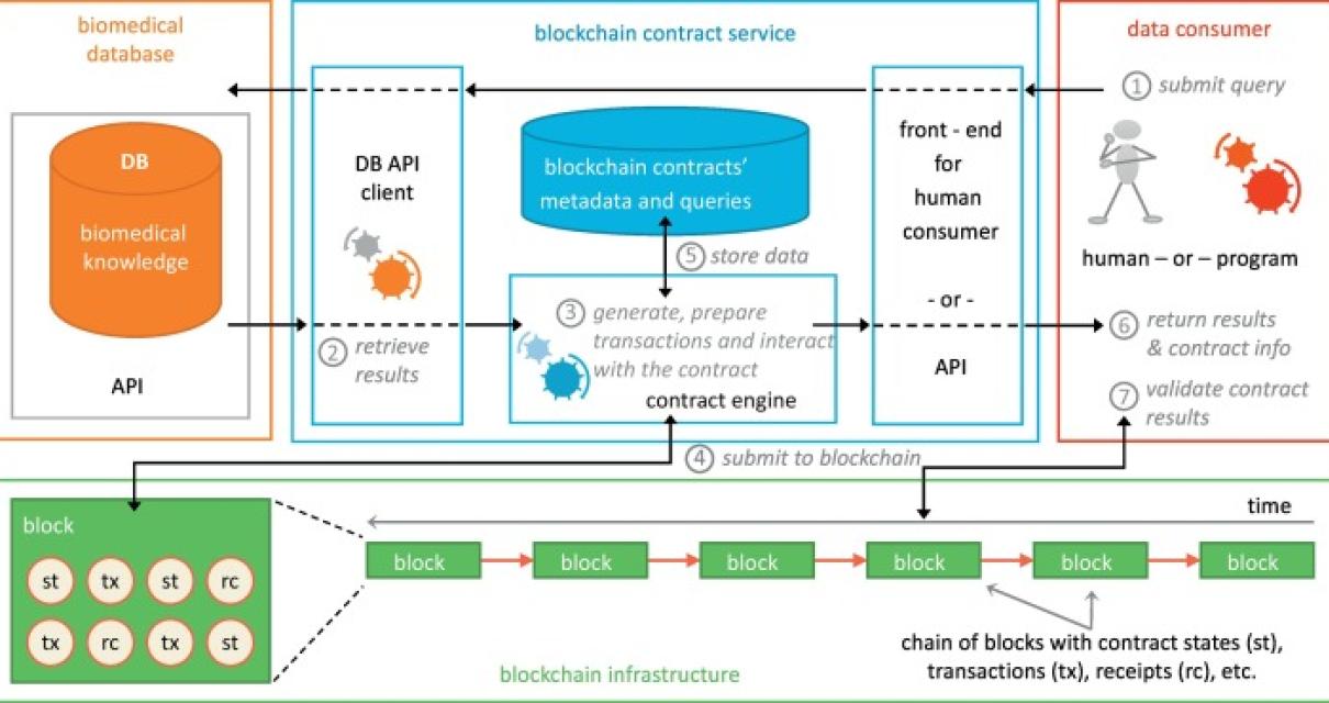 The Basics of Blockchain Infra