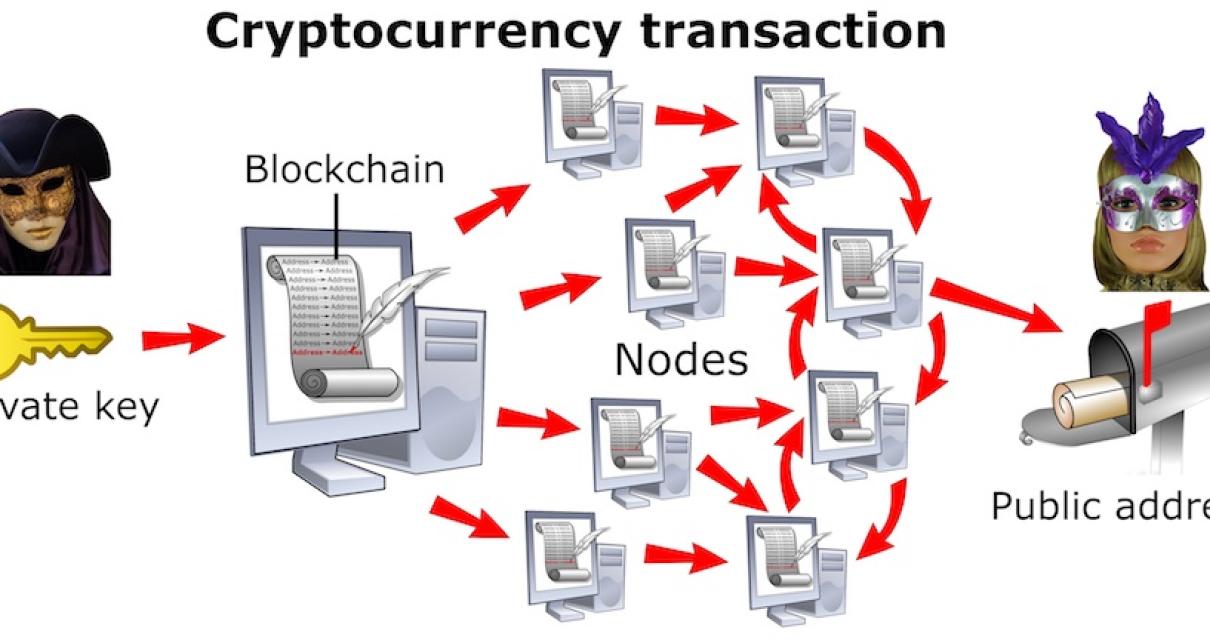 How to Hack Blockchain Wallet 