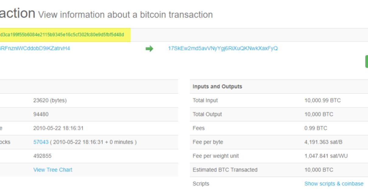 How to Find Your Transaction H
