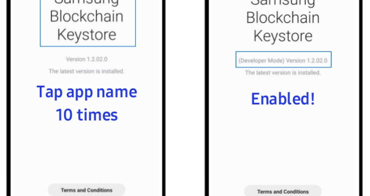 What is the Samsung Blockchain