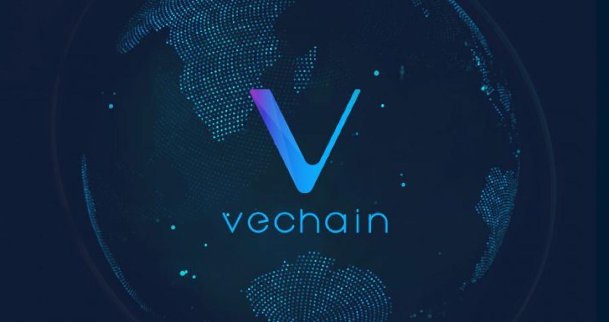 Storing Your VeChain
The VeCha