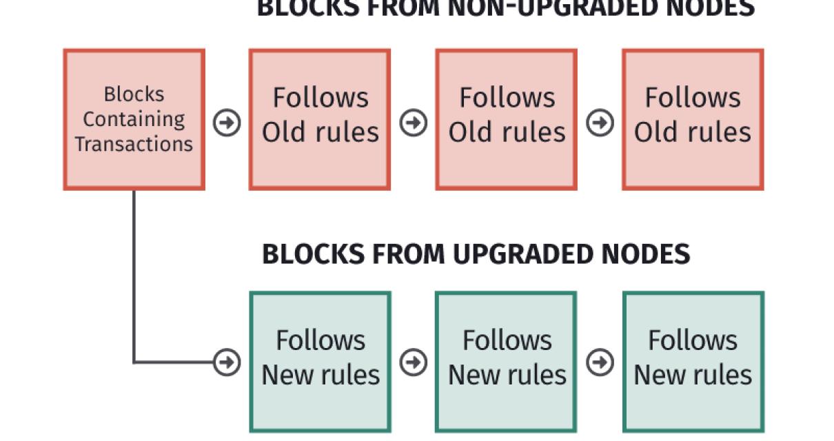 How Do Blockchain Forks Impact