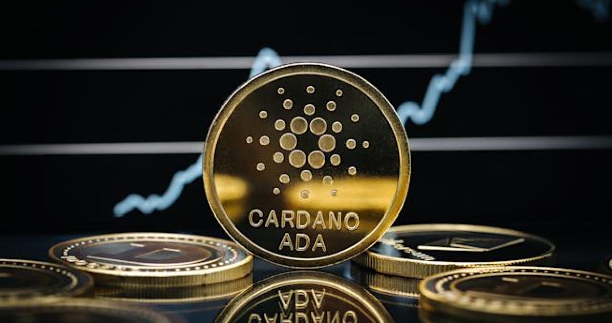 What Is Cardano's Purpose?
Car