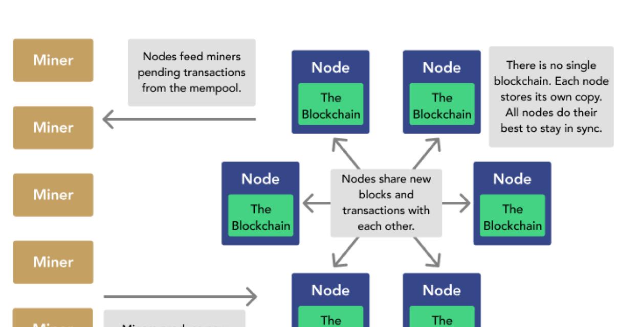 Why run a blockchain node?
Run